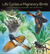 Life Cycles of Migratory Birds - Art by Barry Kent MacKay for Environment for the Americas