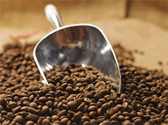 Coffee Beans with Coffee Scoop - Photo: USDA NOP