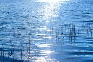 Sunlight on Blue Lake
