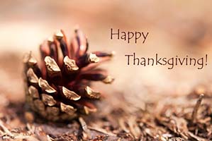 Pinecone with words Happy Thanksgiving