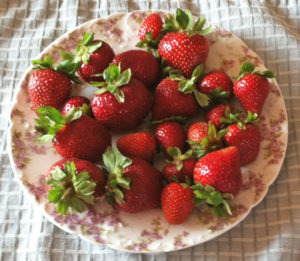 Fresh Ripe Organic Strawberries from the Farmers Market