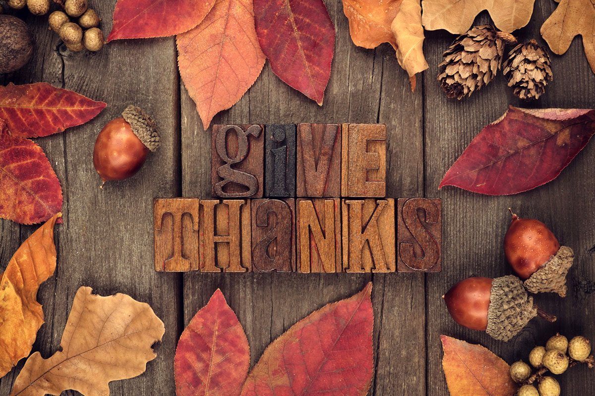Give Thanks Block Letters with Fall Leaves, Acorns, and Pine Cones