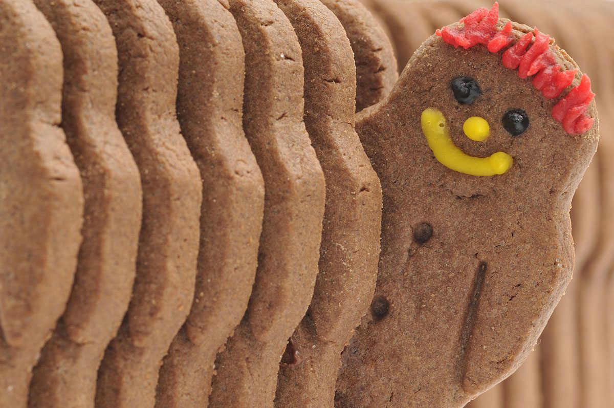 Gingerbread Person with a Smile Peeking out from a Line of Gingerbread People