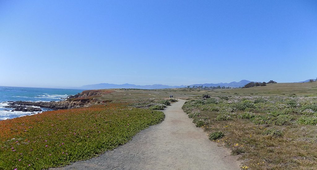 Fiscalini Ranch Preserve Bluff Trail in Cambria CA - May 2018