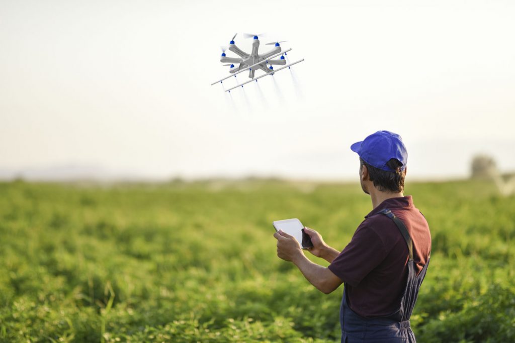 Farmer Spraying Pesticide on His Crops Using a Drone
