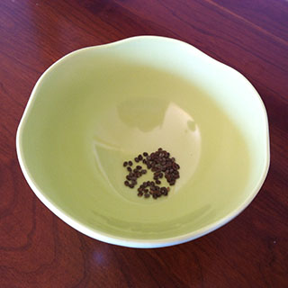 Lupine Seeds in a Bowl from Lupines I Grew from Seeds