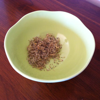 Tidy Tips Seeds and Flower Bits in a Bowl from Plants I Grew from Seeds