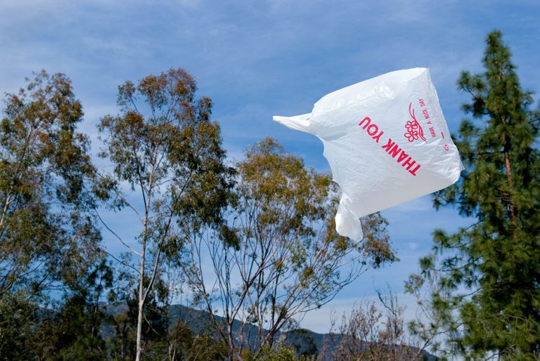 Singleuse Plastic Shopping Bag Flying Through the Air Green Groundswell