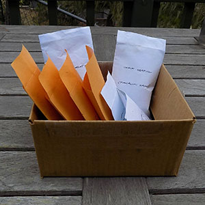 Native Plant Seeds in Envelopes and Stored in a Cardboard Box