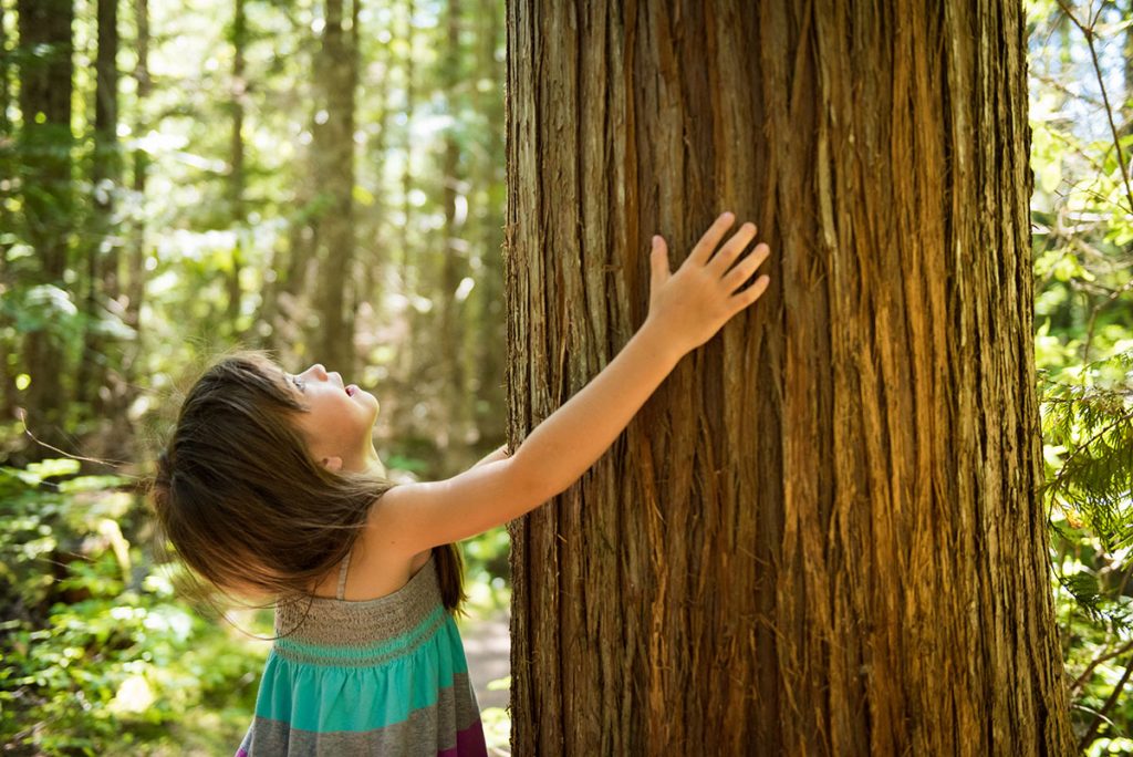Young Girl Looking Up Touching a Huge Tree