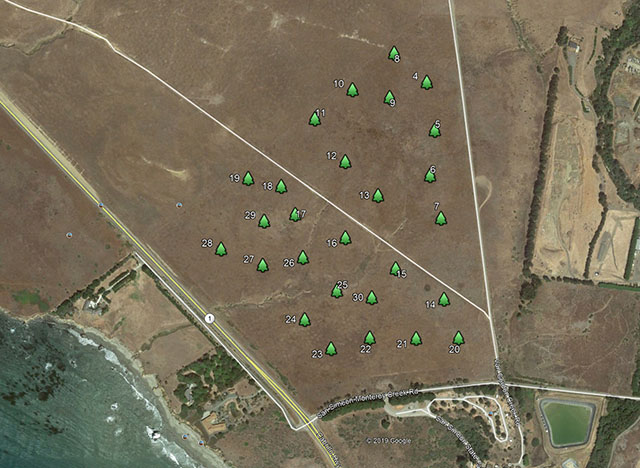 Greenspace Monterey Pine Seedling Project Google Map Showing 30 Planting Plots